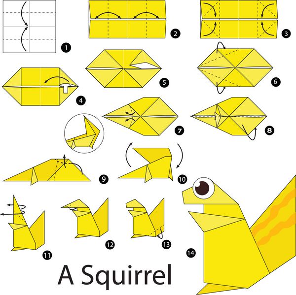 آموزش گام به گام ساخت اوریگامی یک سنجاب
