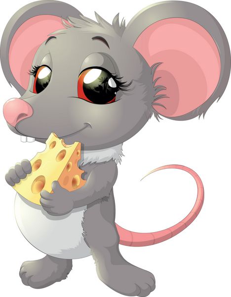 موش ناز پنیر در دست دارد