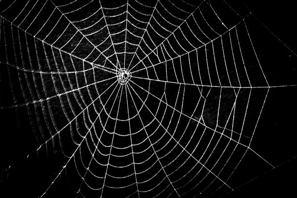 تار عنکبوت ترسناک بسیار ترسناک برای هالووین
