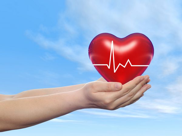 مفهوم مفهومی علامت یا نماد 3 بعدی قلب قرمز انسان در دست مرد یا زن انسان پس زمینه آسمان آبی استعاره از سلامت مراقبت پزشکی محافظت زندگی پزشکی نبض قلب و عروق مراقبت های بهداشتی