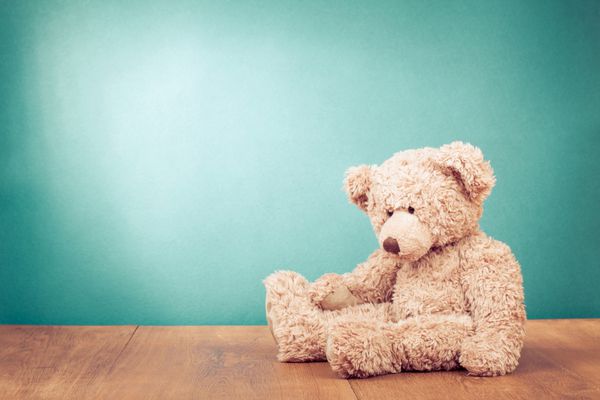 اسباب بازی خرس عروسکی به تنهایی روی چوب در جلو زمینه سبز نعنایی