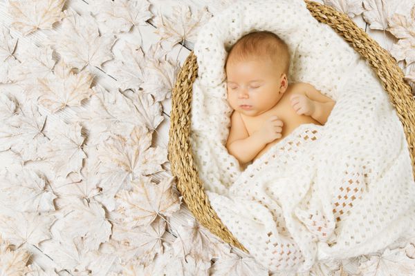 نوزادی که در سبد هنری روی برگ های سفید پیچیده شده در پتوی پشمی خوابیده است