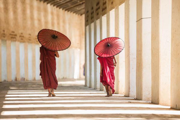 تازه کاران بودایی با چتر در معبد راه می روند
