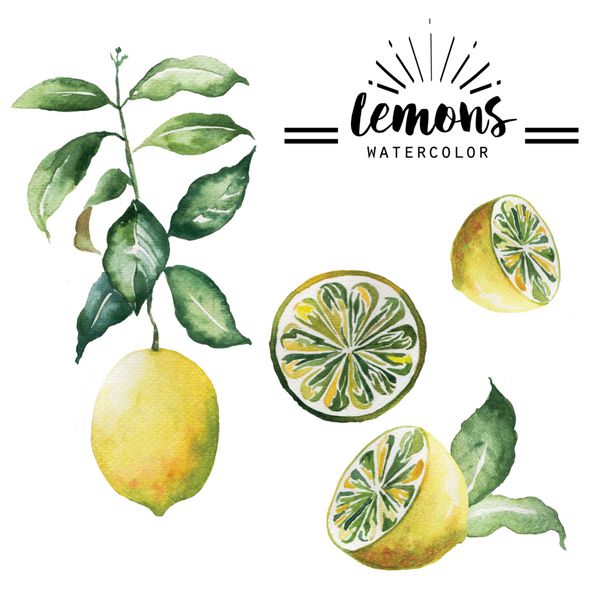 آبرنگ لیمویی که با دست ترسیم شده است عنصر جدا شده طبیعت ارگانیک در زمینه سفید