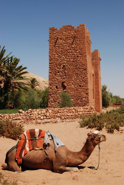 kasbah ait ben haddou مراکش آفریقا با شتر