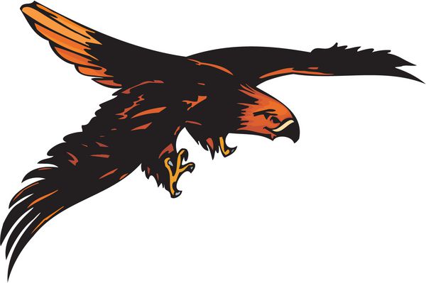 عقاب با پرهای نارنجی به هدف حمله می کند