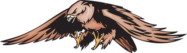 عقاب با پرهای قهوه ای پرندگان درنده