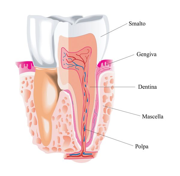 dente