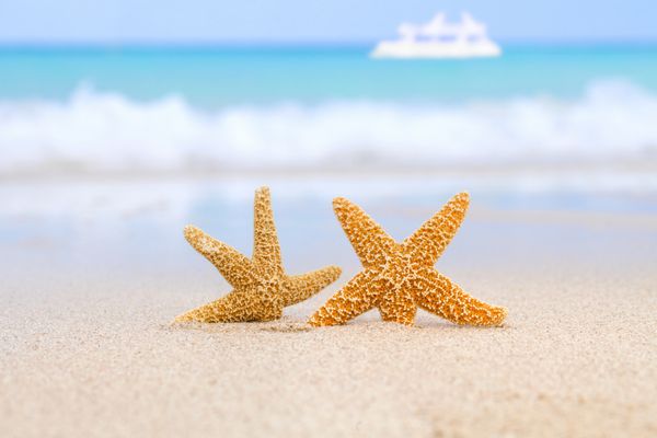 دو ستاره دریایی در ساحل دریای آبی و قایق سفید