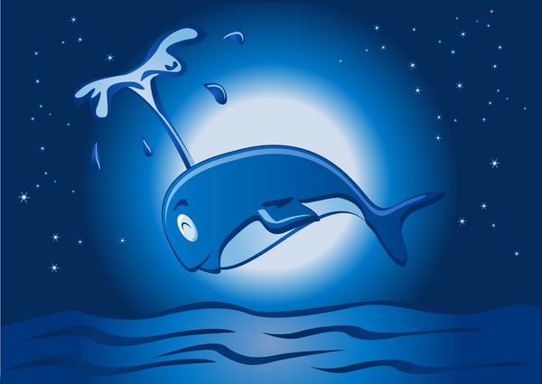 نهنگ در شب