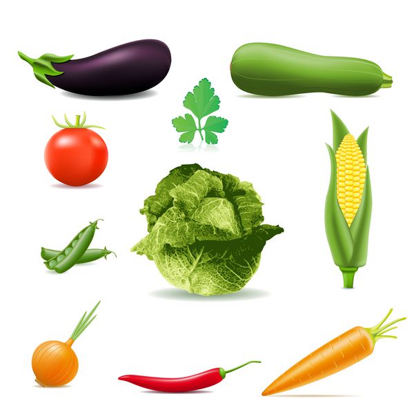 مجموعه ای از نمادها وکتور سبزیجات