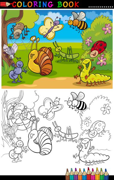 حشرات و حشرات برای کتاب یا صفحه رنگ آمیزی