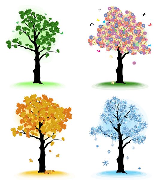 درخت هنر برای طراحی شما چهار فصل