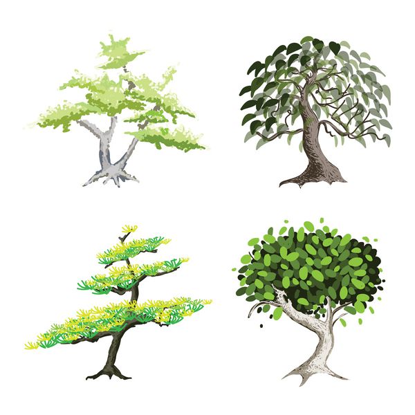 مجموعه ایزومتریک از درختان و گیاهان سبز