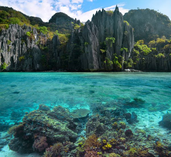 صخره های تیز و صخره های مرجانی رنگارنگ در فیلیپین