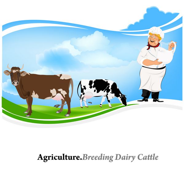 کشاورزی پرورش گاو شیری وکتور پس زمینه