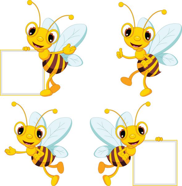 مجموعه کارتون زنبور عسل