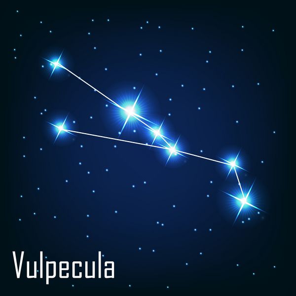 ستاره صورت فلکی vulpecula در آسمان شب ناقل بیمار