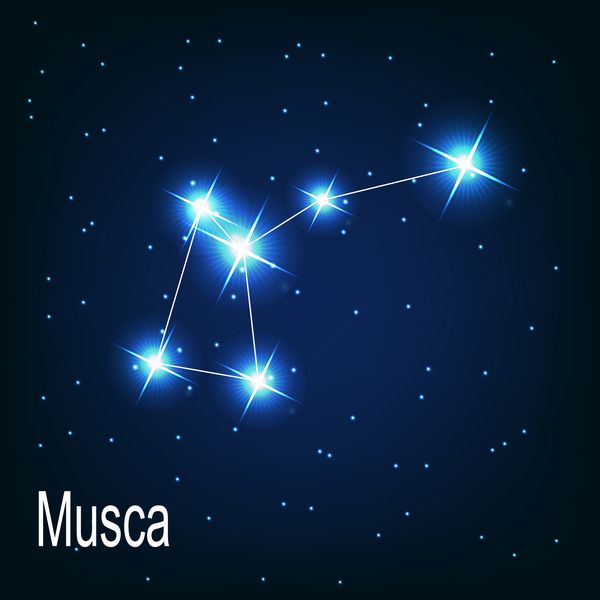 ستاره صورت فلکی musca در آسمان شب وکتور ilra
