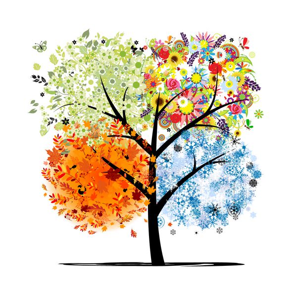 چهار فصل - بهار تابستان پاییز زمستان درخت هنر