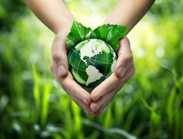 سیاره سبز در دستان شما - ایالات متحده آمریکا - مفهوم محیط زیست