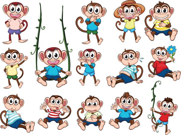 گروهی از میمون ها