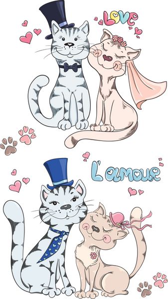 گربه های عاشق - داماد و عروس کارت خنده دار عروسی