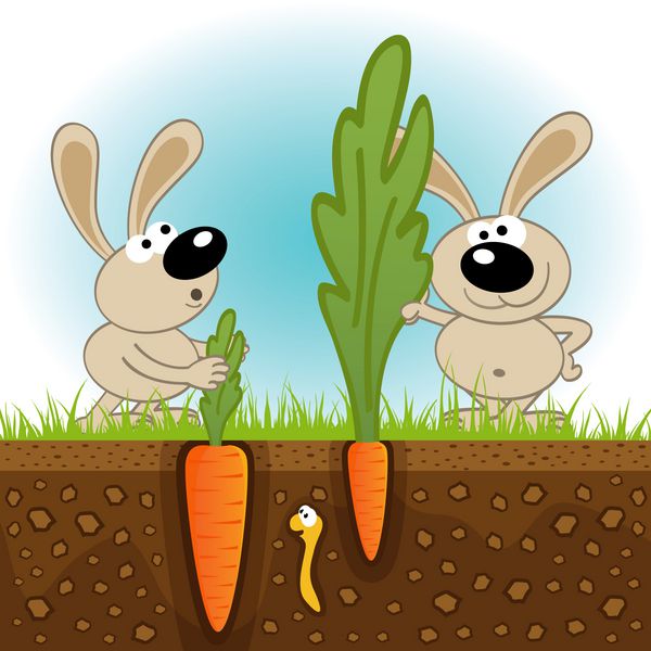 خرگوش هویج بزرگ و کوچک - وکتور