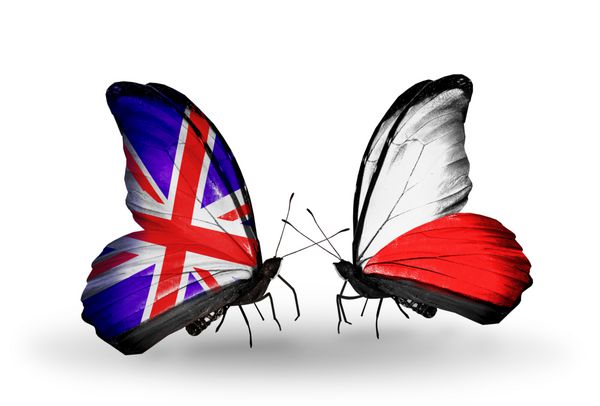 دو پروانه با پرچم انگلستان و لهستان