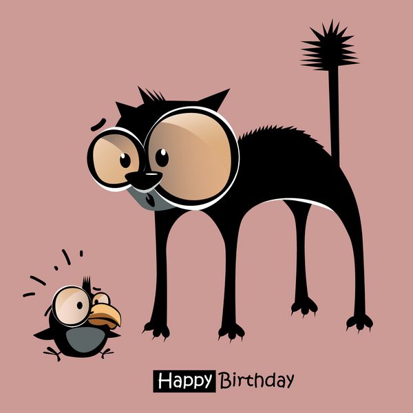 تولدت مبارک گربه پرنده لبخند