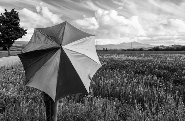 منظره سیاه و سفید توسکانی با چتر ایتالیا