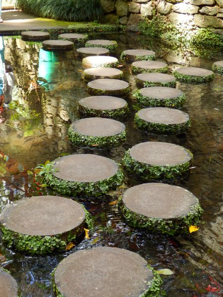 سنگ های پله دایره ای شکل یک مسیر منحنی زیبا را در میان آب ایجاد می کند