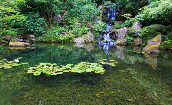 منظره باغ سبز ژاپنی