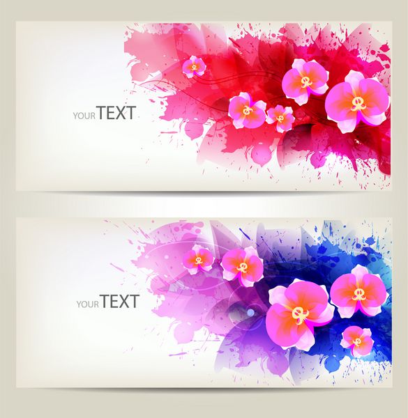 مجموعه ای از عناصر گل و لکه های رنگارنگ قالب بروشور طراحی