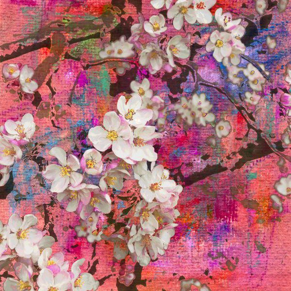 شکوفه درخت سیب نقاشی و پس زمینه هنر ترکیبی
