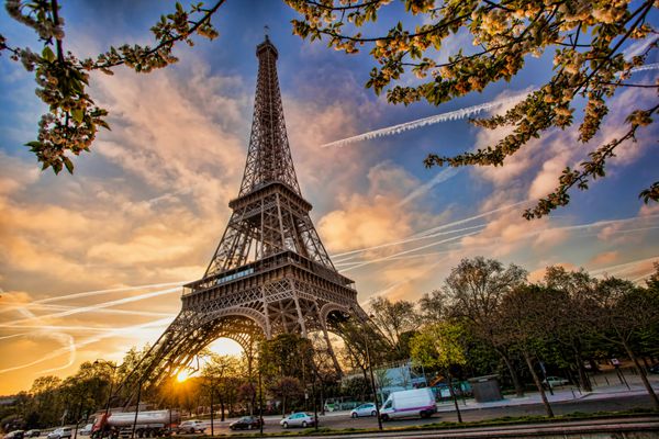برج ایفل با درخت بهاری در پاریس فرانسه