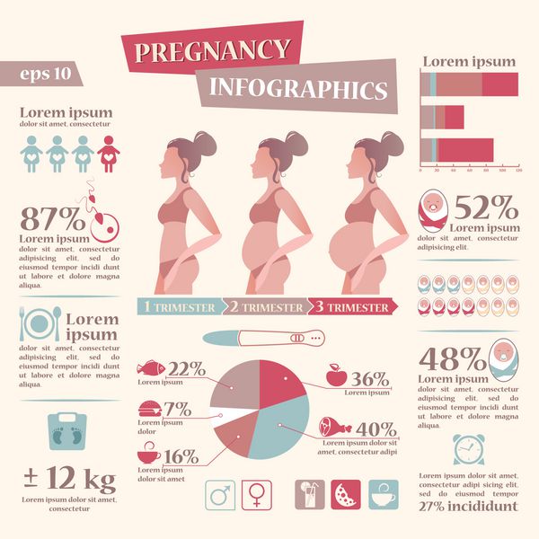 اینفوگرافیک بارداری و زایمان با آیکون تخت برای طراحی شما