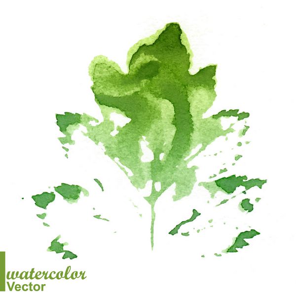 تمبر آبرنگ یک برگ سبز بیاندیش برگ های رنگارنگ مهر و موم شده با آبرنگ وکتور سبز اکو چاپ برگ