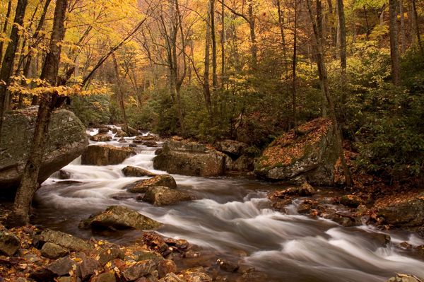 آبشاری منزوی در جنگل های ویرجینیا با سرعت شاتر آهسته گرفته می شود تا آب صاف و نرم شود جزئیات خوبی در آب هنگام غلتیدن و چرخش به سمت پایین دست قابل مشاهده است