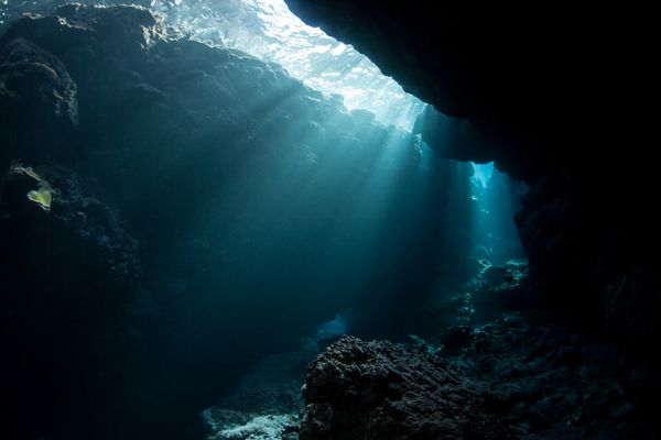 نور خورشید در سایه‌های یک غار زیر آب در جزایر سلیمان فرو می‌رود بسیاری از صخره های مرجانی غارها و غارهایی دارند که در آن موجوداتی که تاریکی را ترجیح می دهند زندگی می کنند