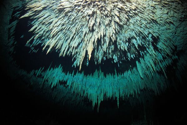 استالاکتیت های غار زیر آبی سنوت در شبه جزیره یوکاتان مکزیک