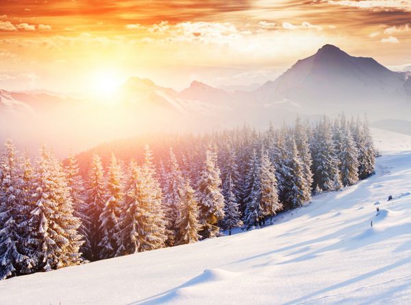 منظره زمستانی فوق العاده عصر مناظر دراماتیک زمستانی کلاژ خلاق پارک ملی سوئیس اروپا دنیای زیبایی فیلتر سبک رترو افکت تونینگ اینستاگرام سال نو مبارک