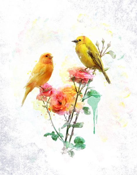 نقاشی دیجیتالی آبرنگ گل و پرندگان زرد