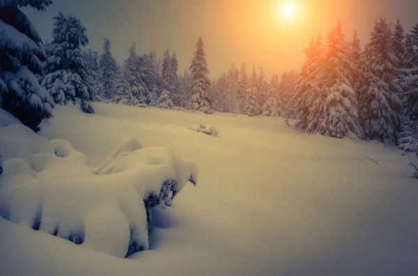 منظره فوق العاده عصرگاهی که زیر نور خورشید می درخشد صحنه دراماتیک زمستانی پارک طبیعی کارپات اوکراین اروپا دنیای زیبایی فیلتر رترو افکت تونینگ اینستاگرام سال نو مبارک