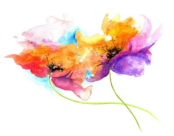 تصویر آبرنگ گل از گل های فانتزی در رنگ های زیبا