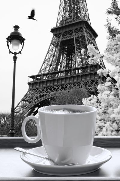 برج ایفل با فنجان قهوه به سبک سیاه و سفید پاریس فرانسه
