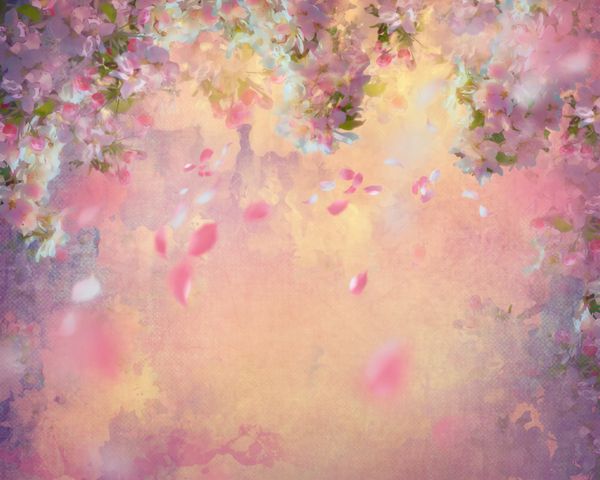 شکوفه های گیلاس بهاری با گلبرگ های در حال پرواز در پس زمینه قدیمی بوم هنر گل به سبک نقاشی روی بافت پارچه کهنه و رسا
