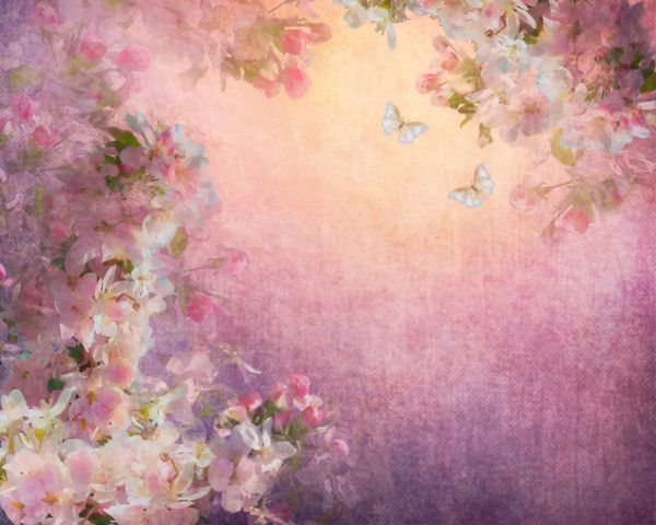 تصویر شکوفه های گیلاس در پس زمینه بوم قدیمی هنر گل به سبک نقاشی روی بافت پارچه کهنه و رسا