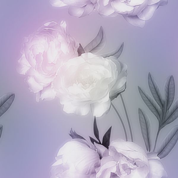 الگوی بدون درز گلدار تار آبرنگ تک رنگ هنری قدیمی با گل صد تومانی های صورتی و سفید جدا شده در پس زمینه یاسی