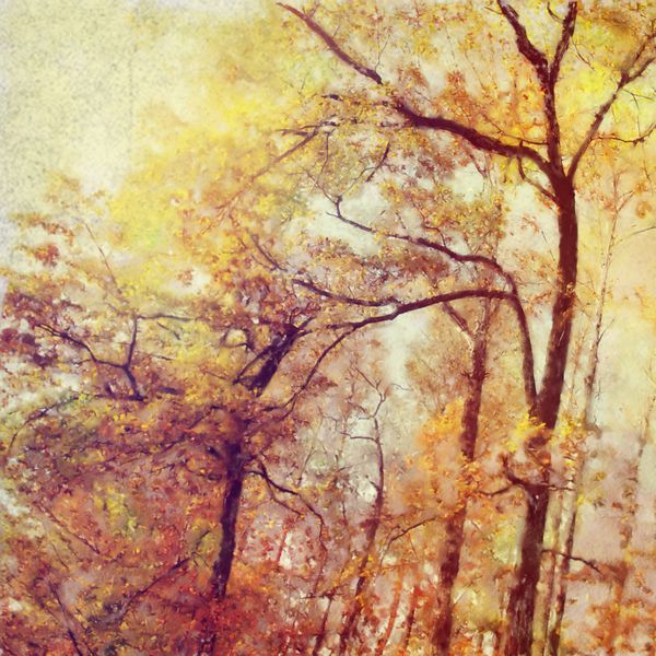 چشم انداز نقاشی رنگ روغن - جنگل رنگارنگ پاییزی